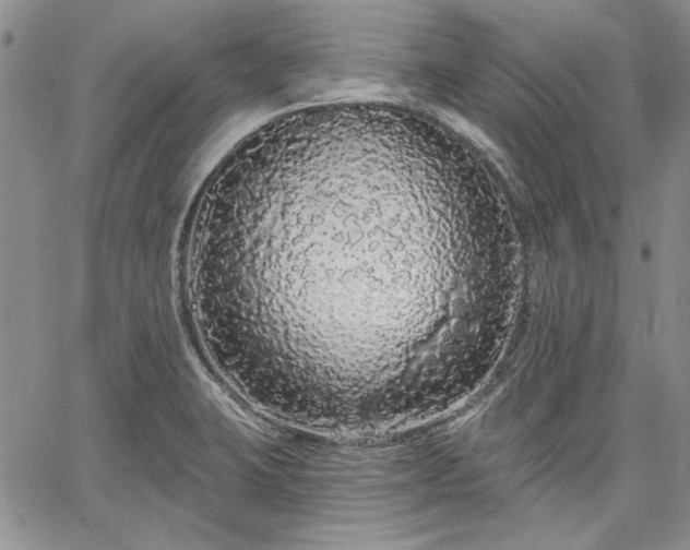 X0000064721423200602171604