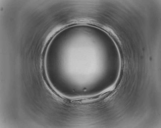 X0000064721424200602171604