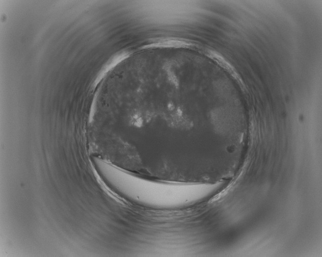 X0000064721425200602171604