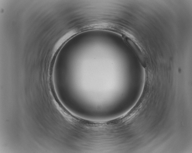 X0000064721426200602171604