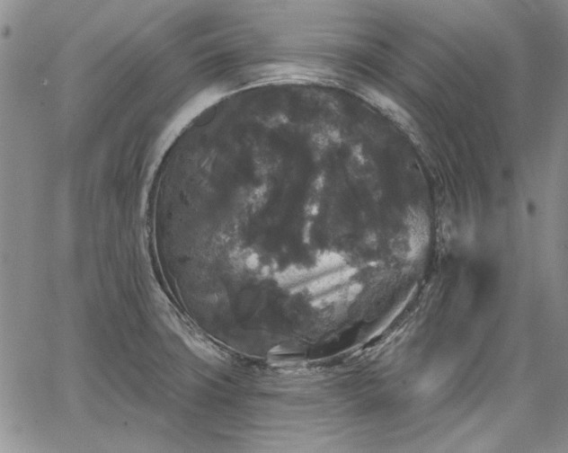 X0000064721427200602171604