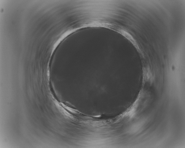 X0000064721428200602171604