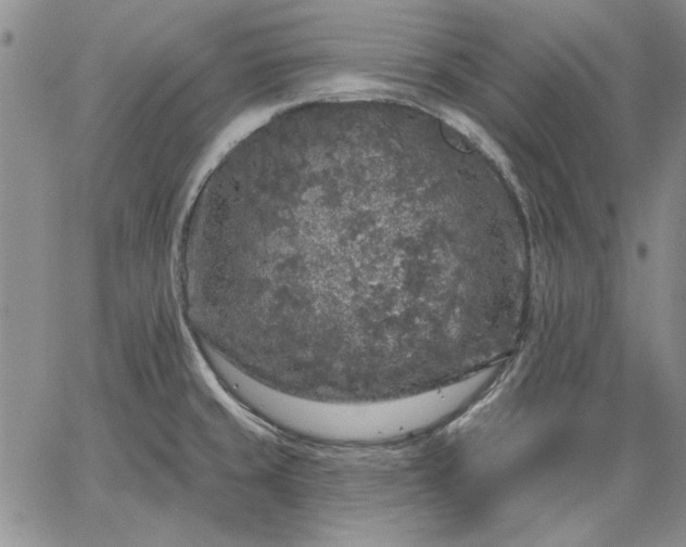 X0000064721429200602171604