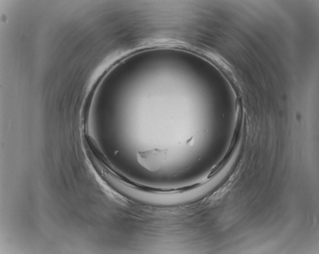 X0000064721430200602171604