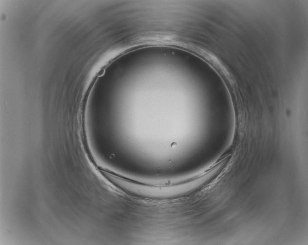 X0000064721432200602171604