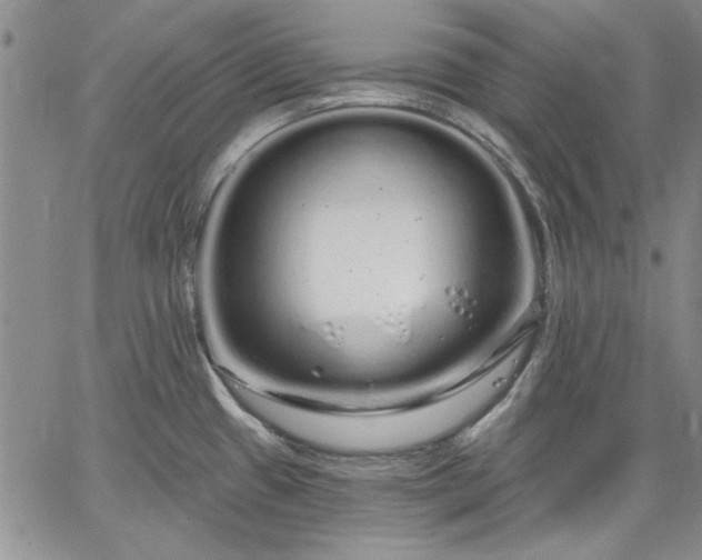 X0000064721433200602171605