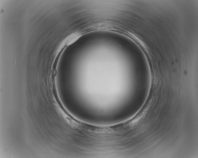 X0000064721434200602171605