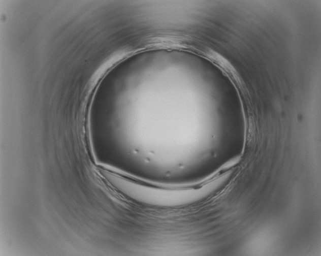 X0000064721435200602171605