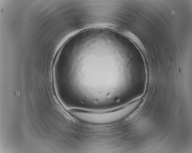 X0000064721436200602171605