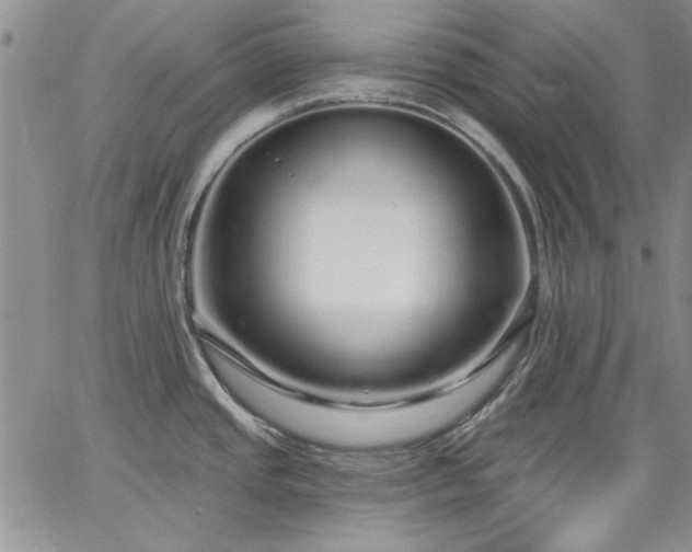 X0000064721437200602171605