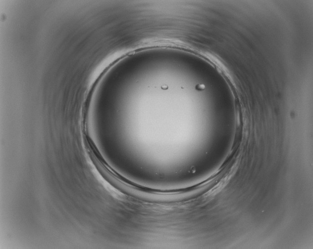 X0000064721438200602171605