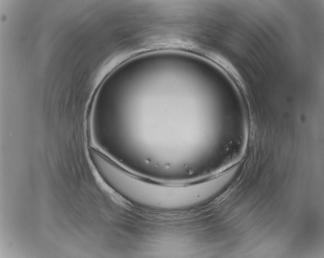 X0000064721439200602171605