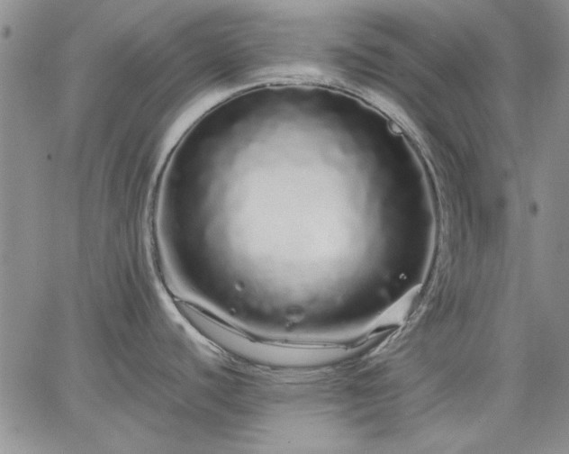 X0000064721440200602171605