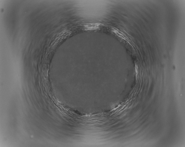 X0000064721441200602171604