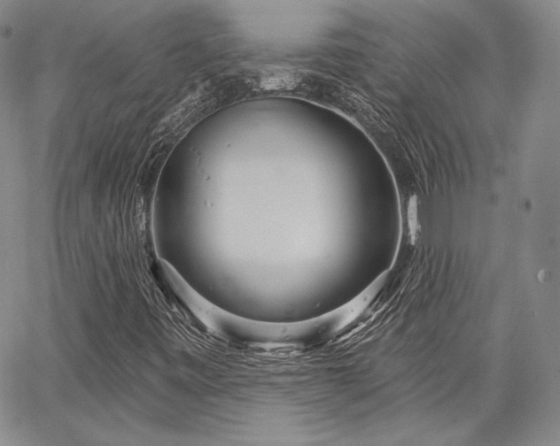 X0000064721443200602171604