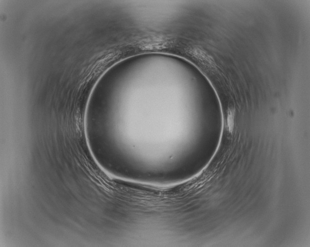 X0000064721444200602171604