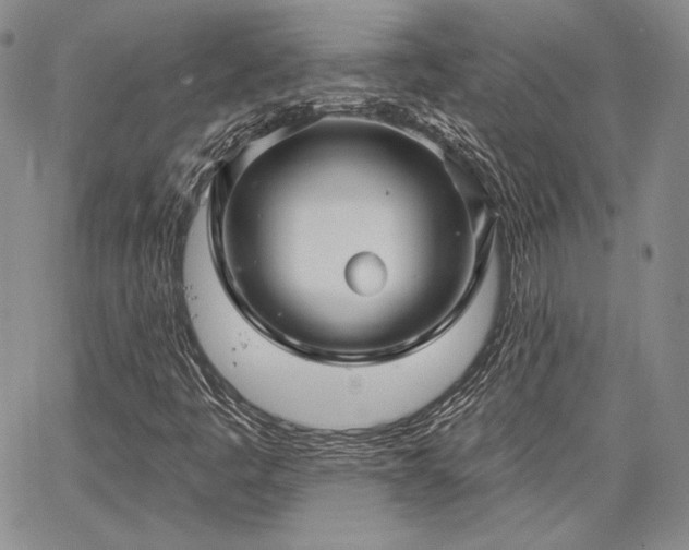 X0000064721445200602171604