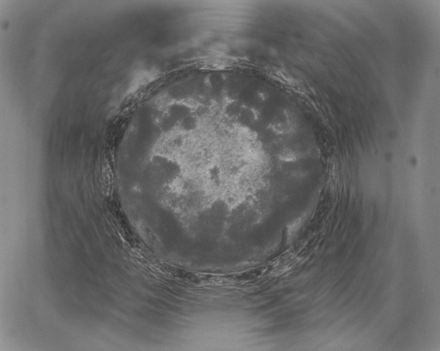 X0000064721446200602171604