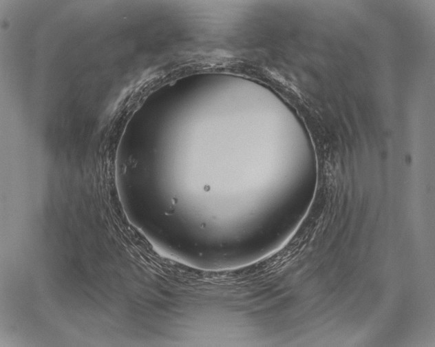 X0000064721447200602171604