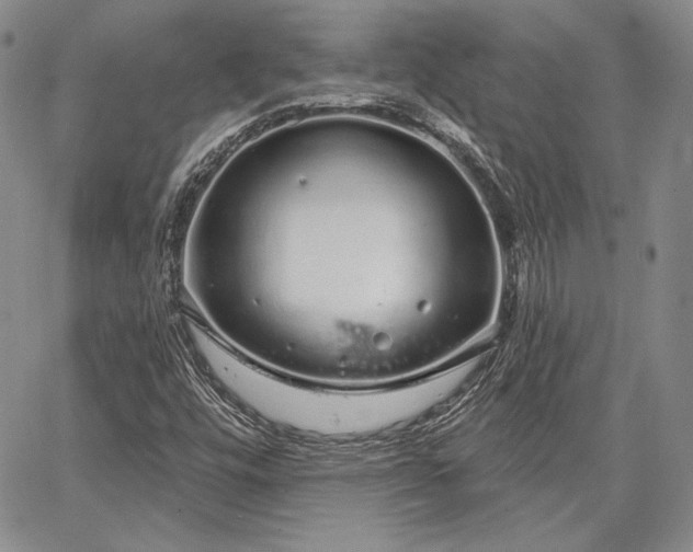 X0000064721448200602171604