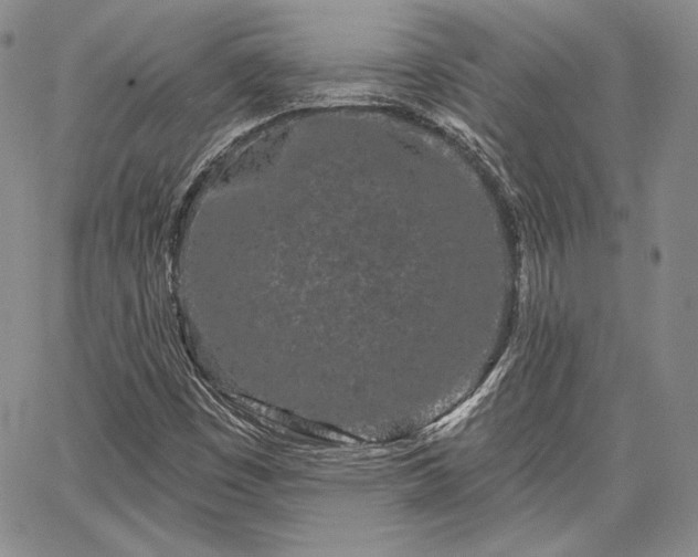 X0000064721449200602171604