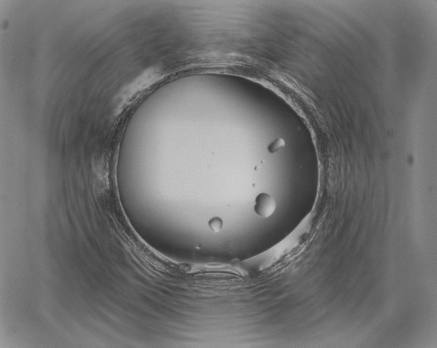 X0000064721451200602171604