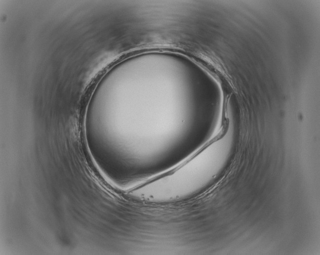 X0000064721452200602171604