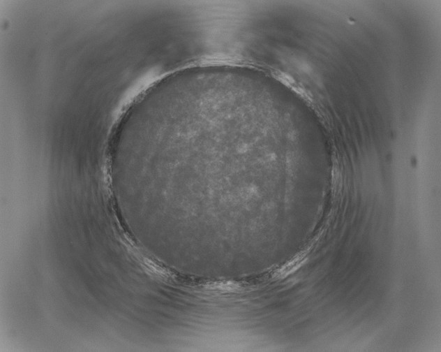 X0000064721454200602171604