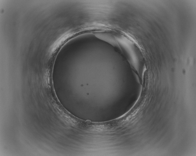 X0000064721455200602171604