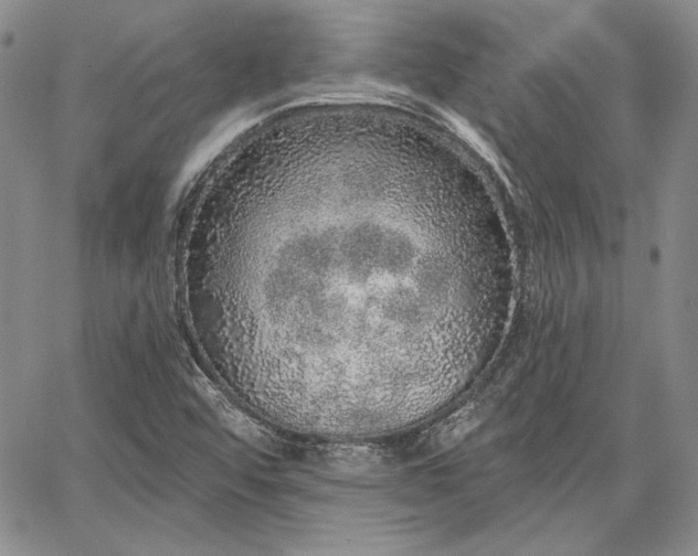 X0000064721456200602171604