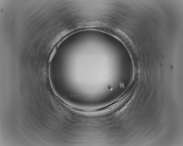 X0000064721457200602171604