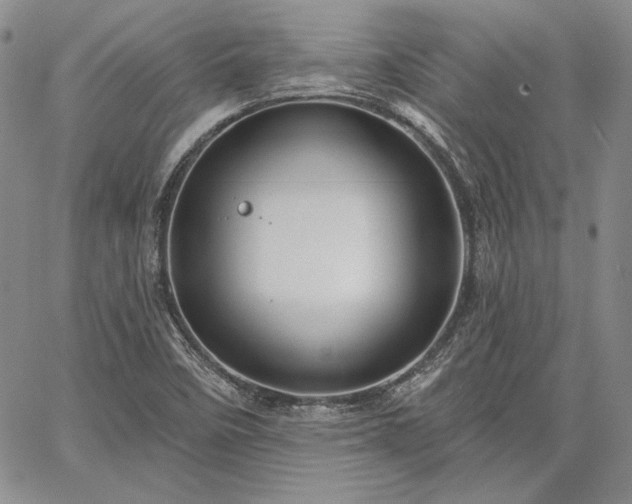 X0000064721458200602171604