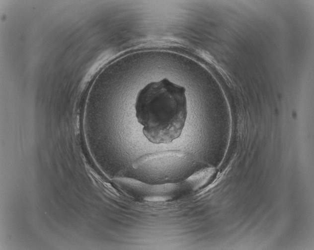 X0000064721459200602171604