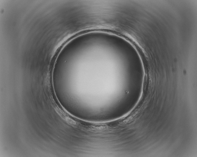 X0000064721460200602171604