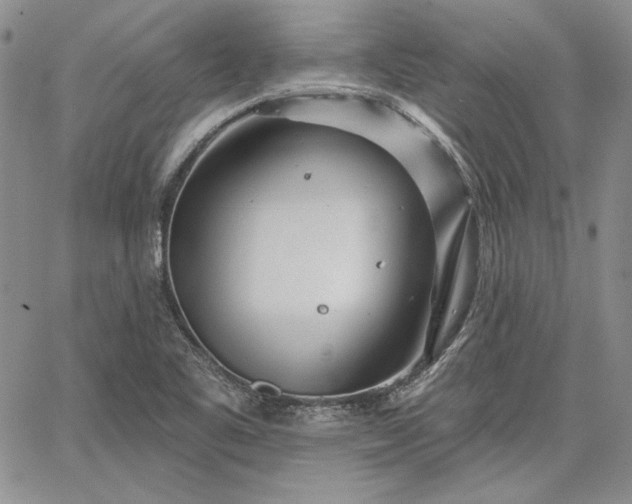 X0000064721461200602171603