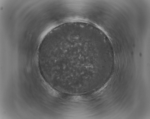 X0000064721463200602171603