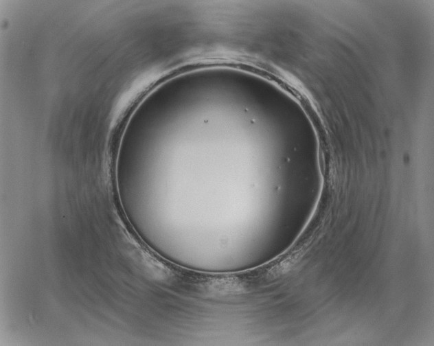 X0000064721464200602171603