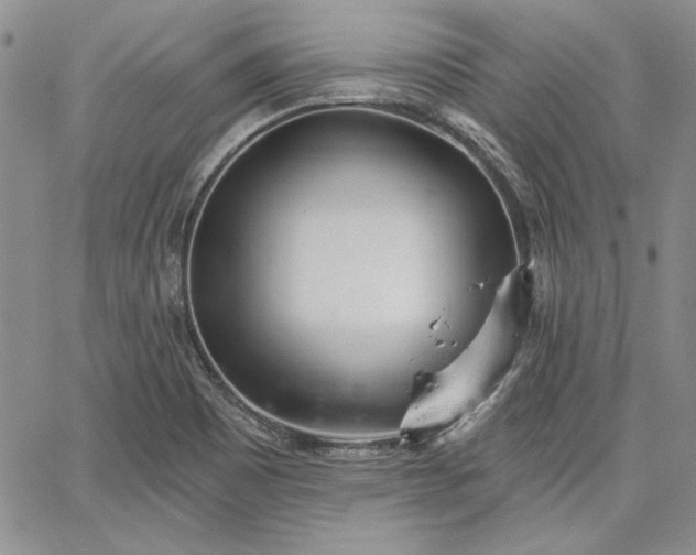 X0000064721465200602171603