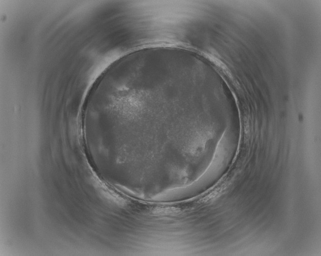 X0000064721466200602171603