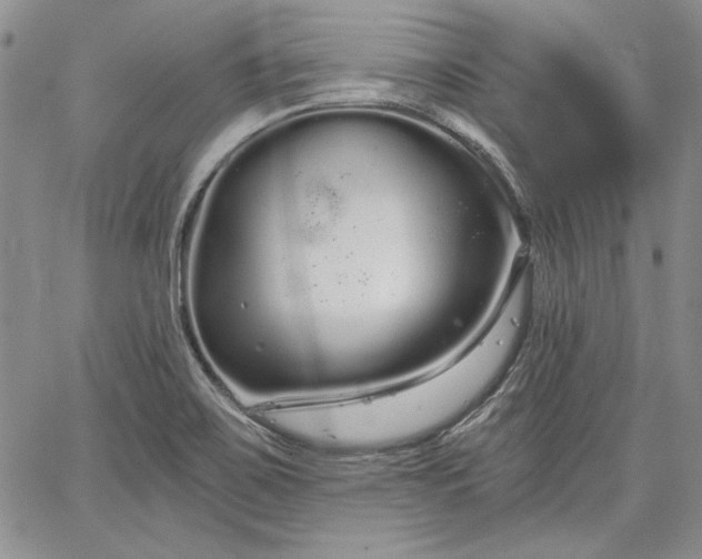 X0000064721467200602171603