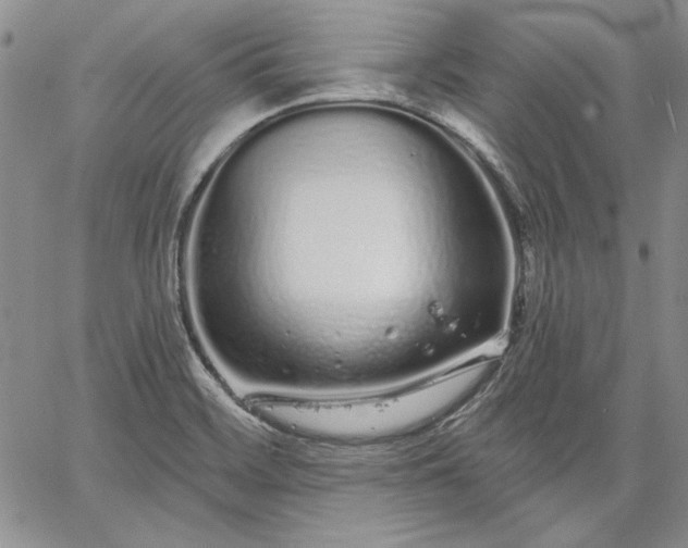 X0000064721468200602171603