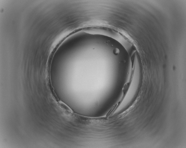 X0000064721469200602171603