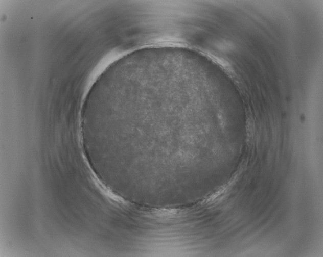 X0000064721470200602171603