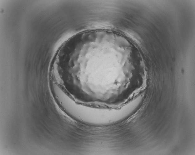 X0000064721471200602171603