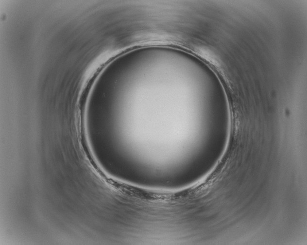 X0000064721472200602171603