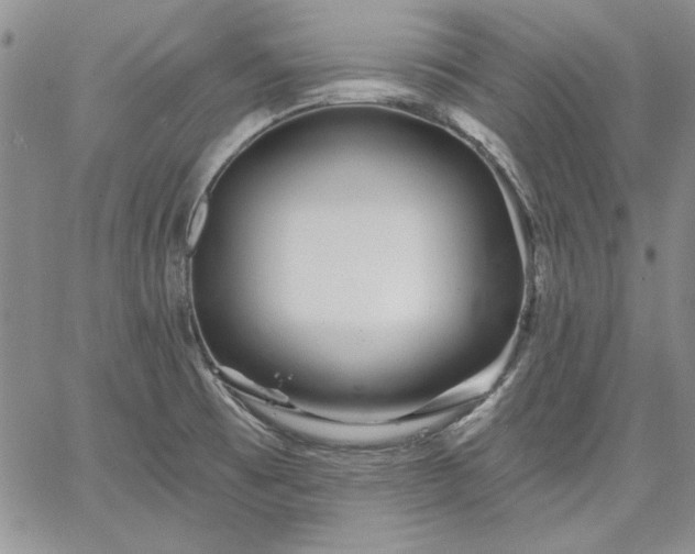 X0000064721473200602171603