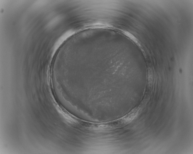 X0000064721474200602171603