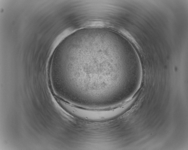 X0000064721475200602171603