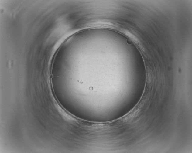 X0000064721478200602171603