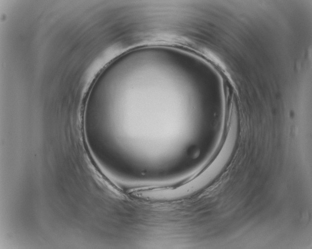 X0000064721480200602171603